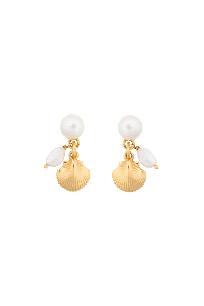 Silver Cockle Shell and Pearl Earrings - Handmade Jewellery | HYDRO Surf  Shop | Dunedin, New Zealand - KGD